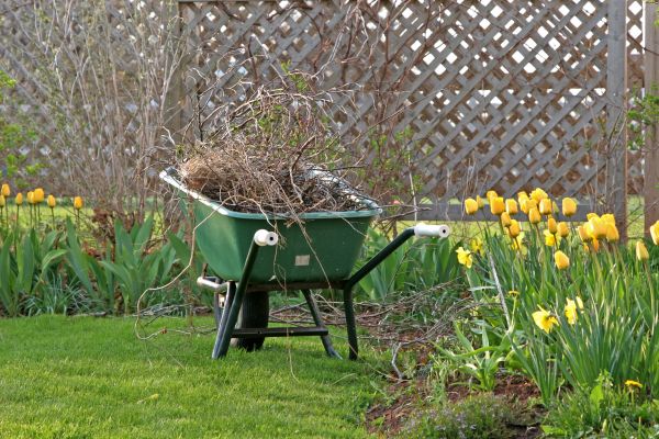 Flower Bed Cleanup Service in Norwalk