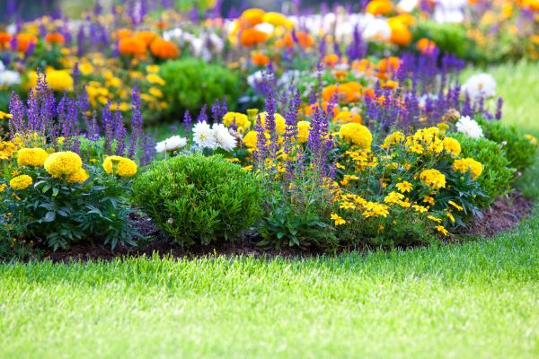 Flower Bed Maintenance in Norwalk