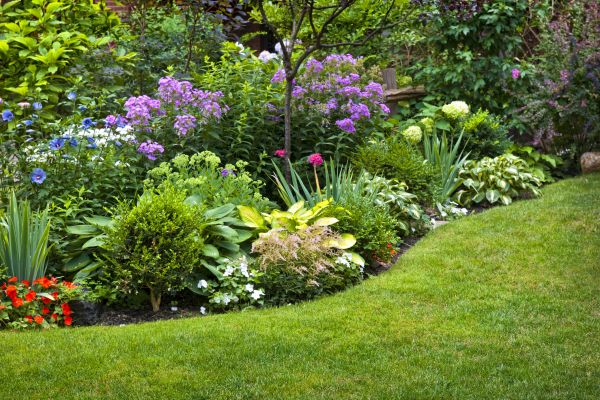 Flower Bed Service in Norwalk