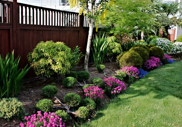Garden Care Service in Norwalk