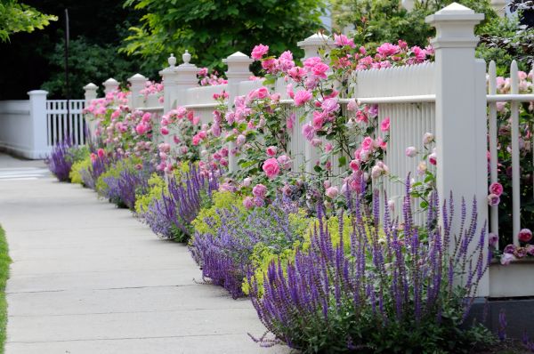 Garden Handyman Service in Norwalk