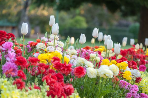 Gardening Service in Norwalk