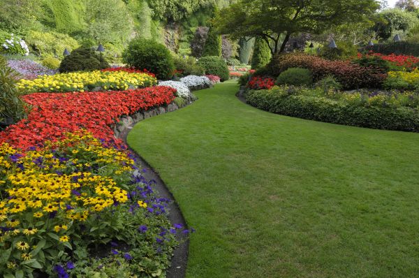 Landscaping Maintenance in Norwalk
