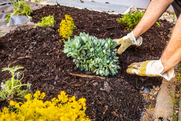 Weeding And Mulching in Norwalk