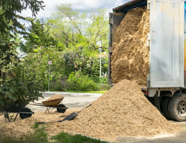 Wood Chips Delivery in Norwalk