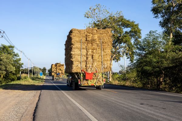 Pine Straw Delivery in Norwalk