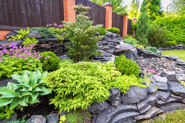 Landscape Remodeling in Norwalk
