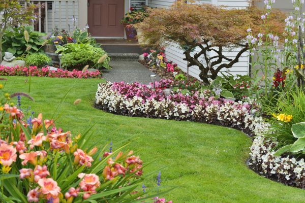 Perennial Landscaping in Norwalk