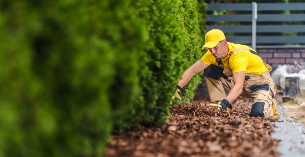 Cypress Mulch Installation in Norwalk