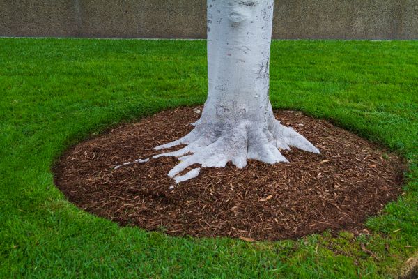 Brown Mulch Installation in Norwalk