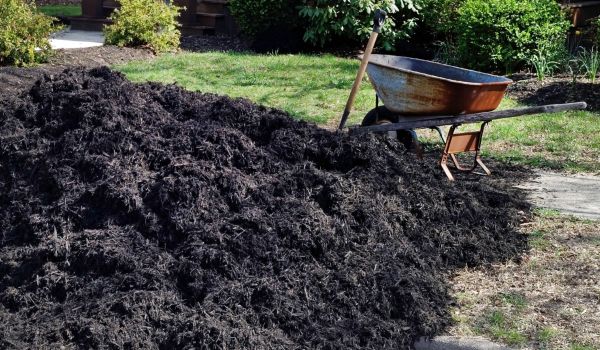 Black Mulch Installation in Norwalk