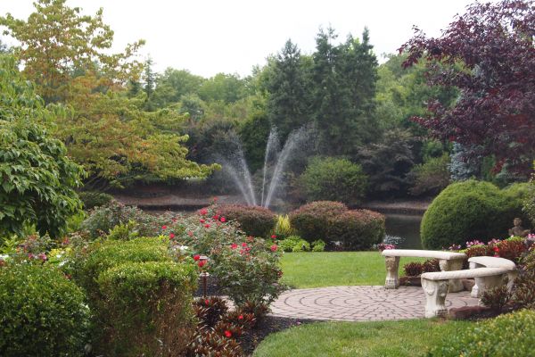 Courtyard Design Service in Norwalk