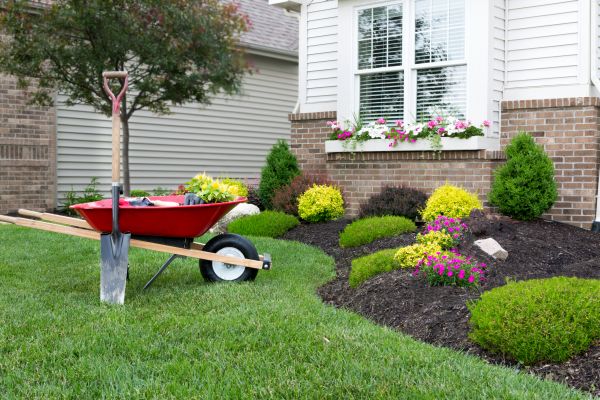 Tree And Shrub Planting in Norwalk