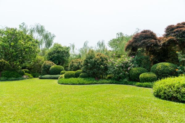 Tree Landscaping in Norwalk
