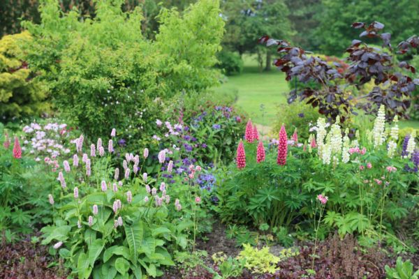 Flower Bed Planting in Norwalk