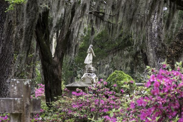 Cemetery Landscaping in Norwalk
