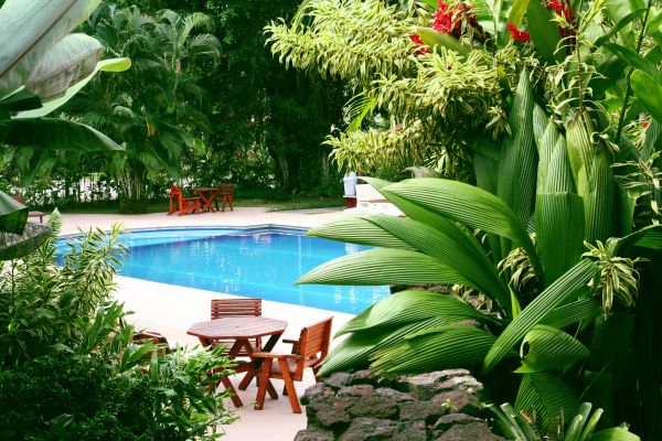 Tropical Garden Landscaping in Norwalk