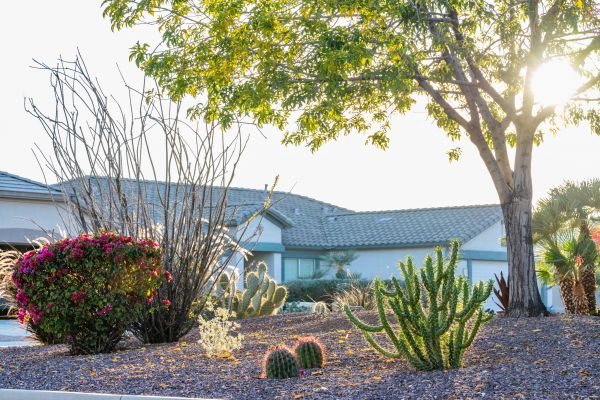 Dryscape Landscaping in Norwalk