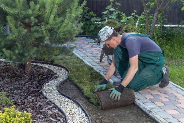 Landscaping Modification in Norwalk