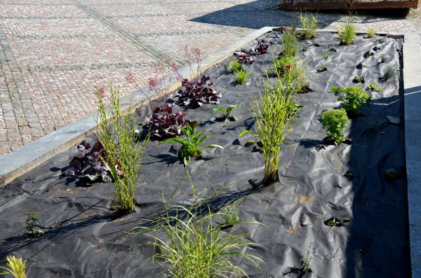 Landscape Fabric Installation in Norwalk