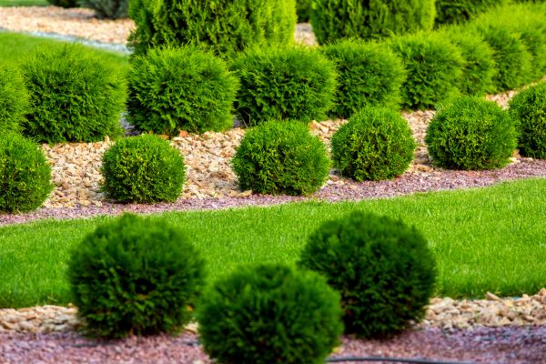 Bush Replacement in Norwalk
