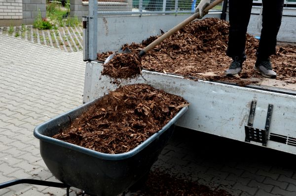 Cedar Mulch Delivery in Norwalk