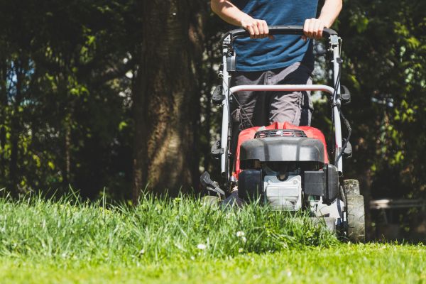 Garden Trimming Service in Norwalk