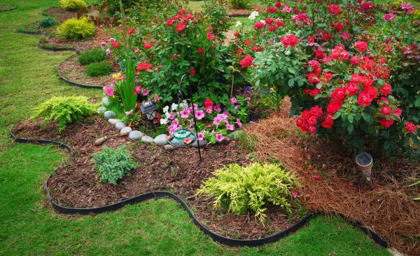 Floral Landscaping in Norwalk