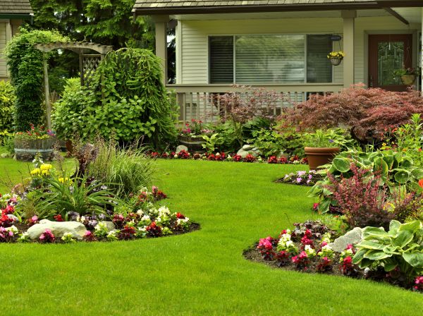 Flower Garden Planting in Norwalk