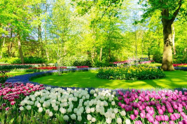 Flower Landscaping in Norwalk