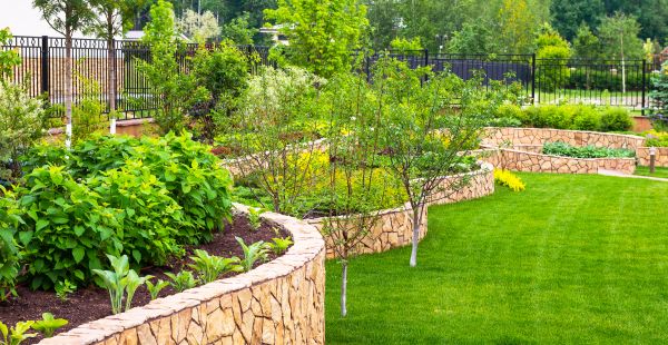 Yard Makeover Service in Norwalk