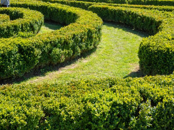 Bush Landscaping in Norwalk