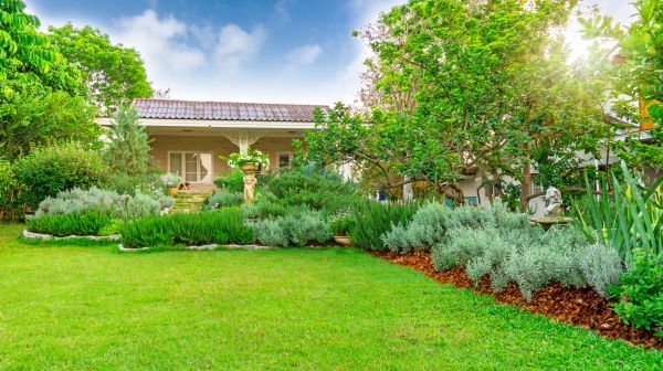 Greenery Planting in Norwalk