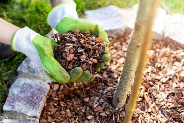 Tree Bark Delivery in Norwalk