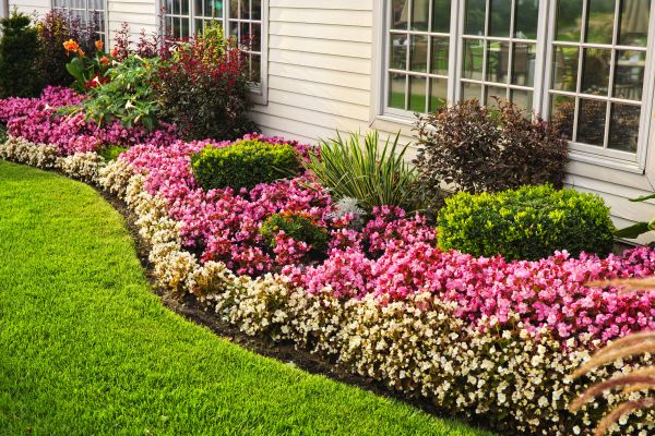 Garden Landscape Design in Norwalk