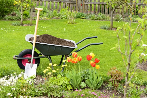 Spring Yard Renovation in Norwalk