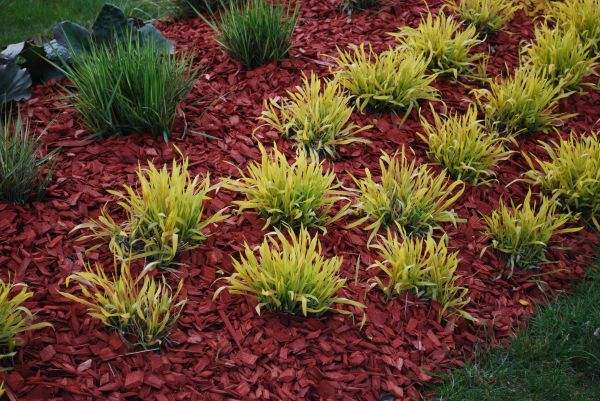 Red Mulch Installation in Norwalk