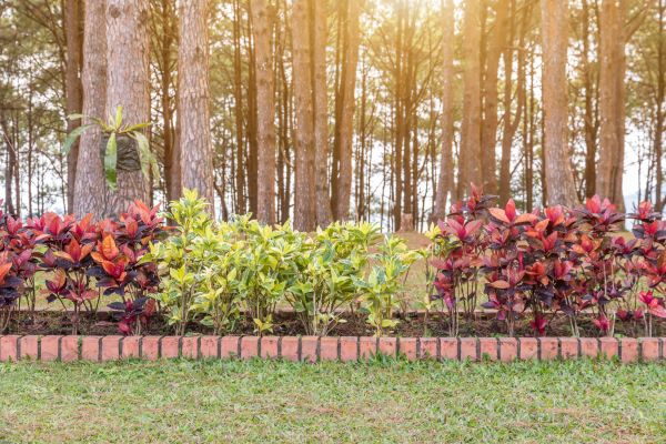 Small Garden Landscaping in Norwalk