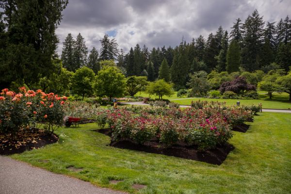 Flower Garden Landscaping in Norwalk
