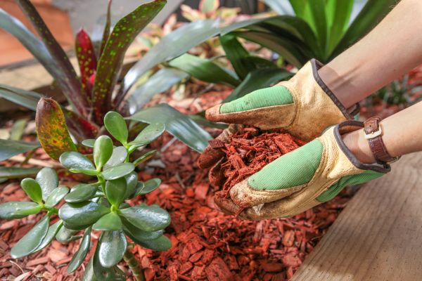 Cedar Mulch Installation in Norwalk