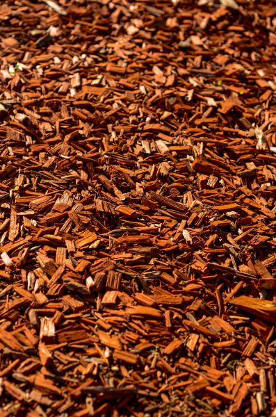 Cedar Mulch Spreading in Norwalk