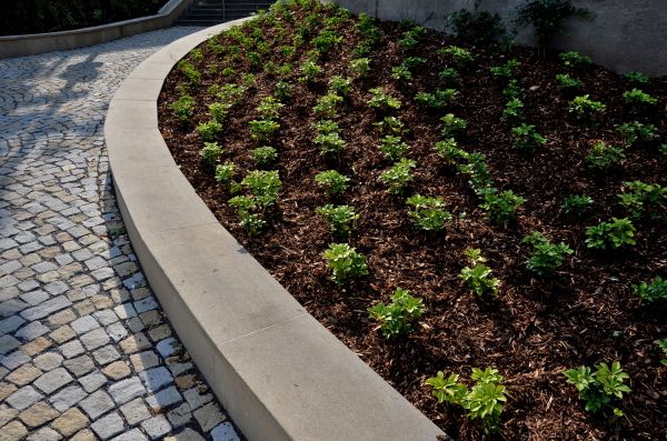 Commercial Mulching in Norwalk