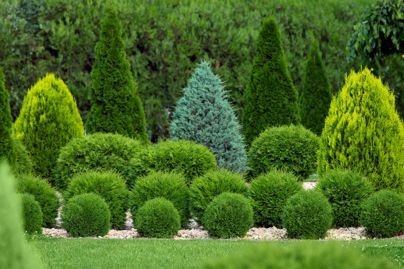 Bush Landscaping