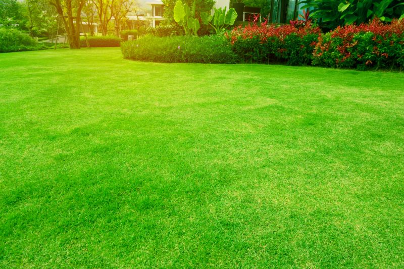 Landscaped Lawns