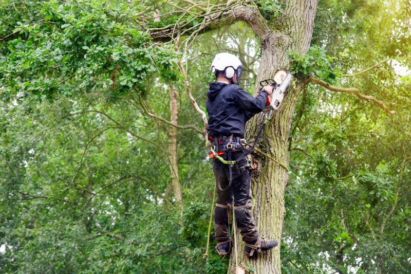 Tree Care Services
